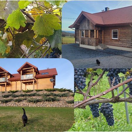 Fantastic View Vineyard Beskid Mountains Gruszow  Eksteriør billede