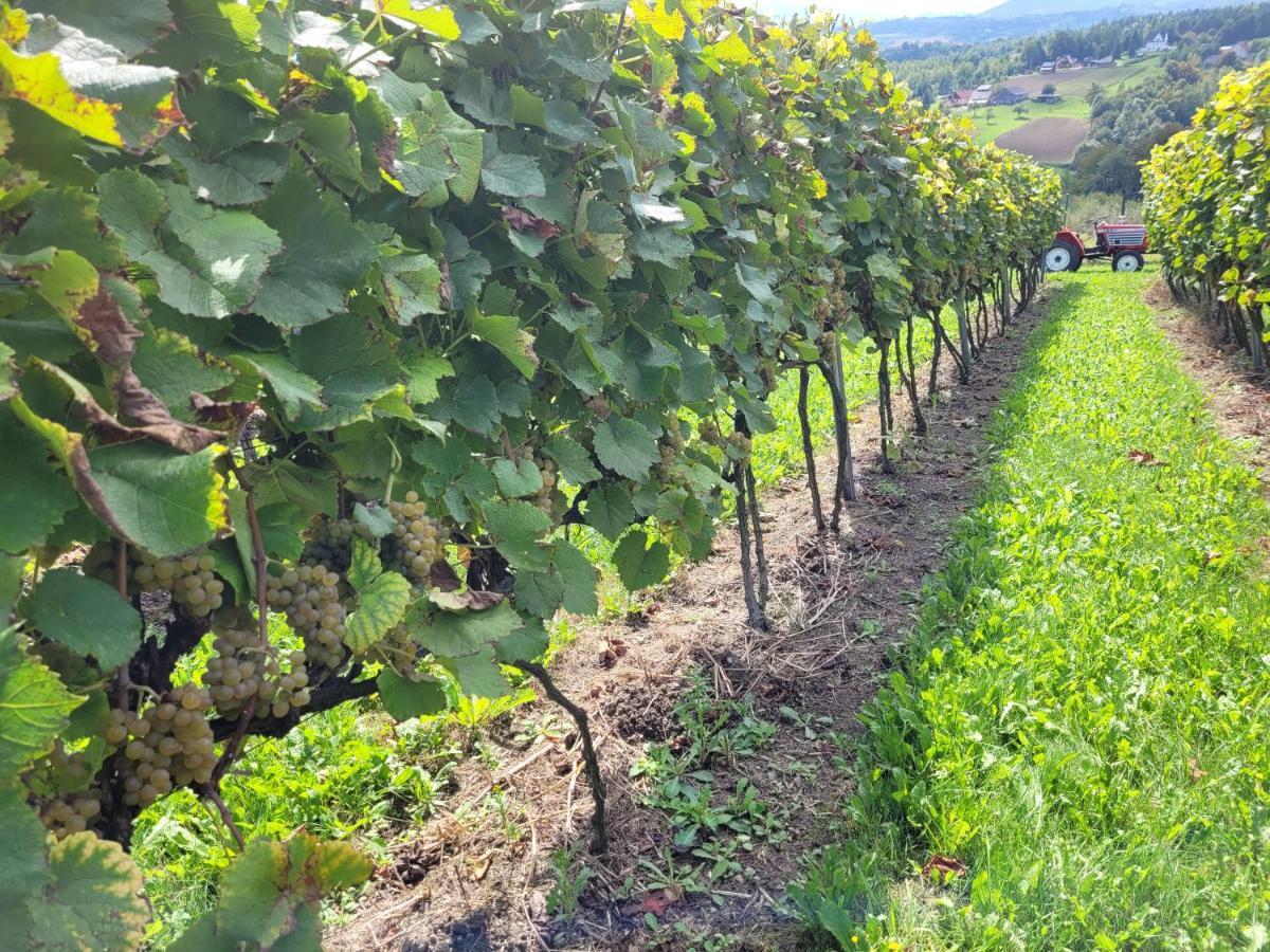 Fantastic View Vineyard Beskid Mountains Gruszow  Eksteriør billede