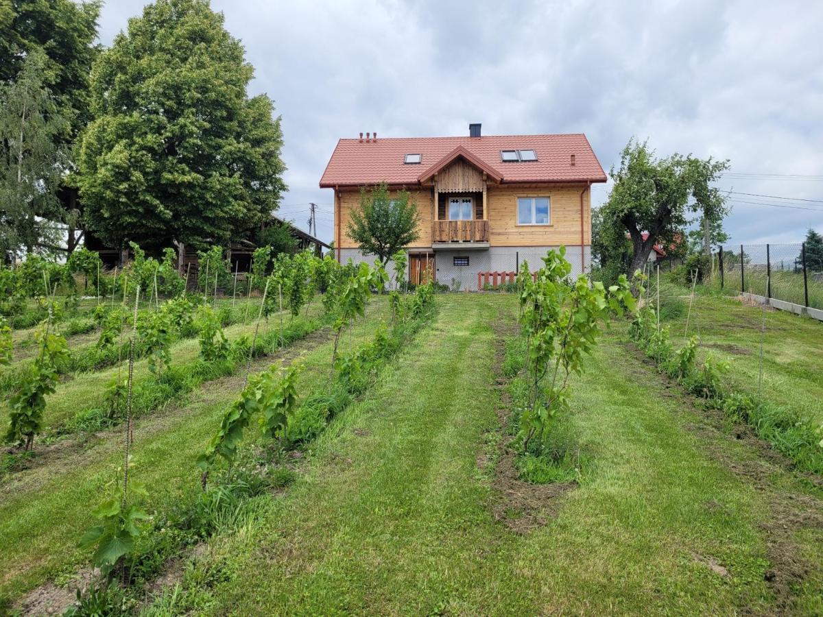 Fantastic View Vineyard Beskid Mountains Gruszow  Eksteriør billede