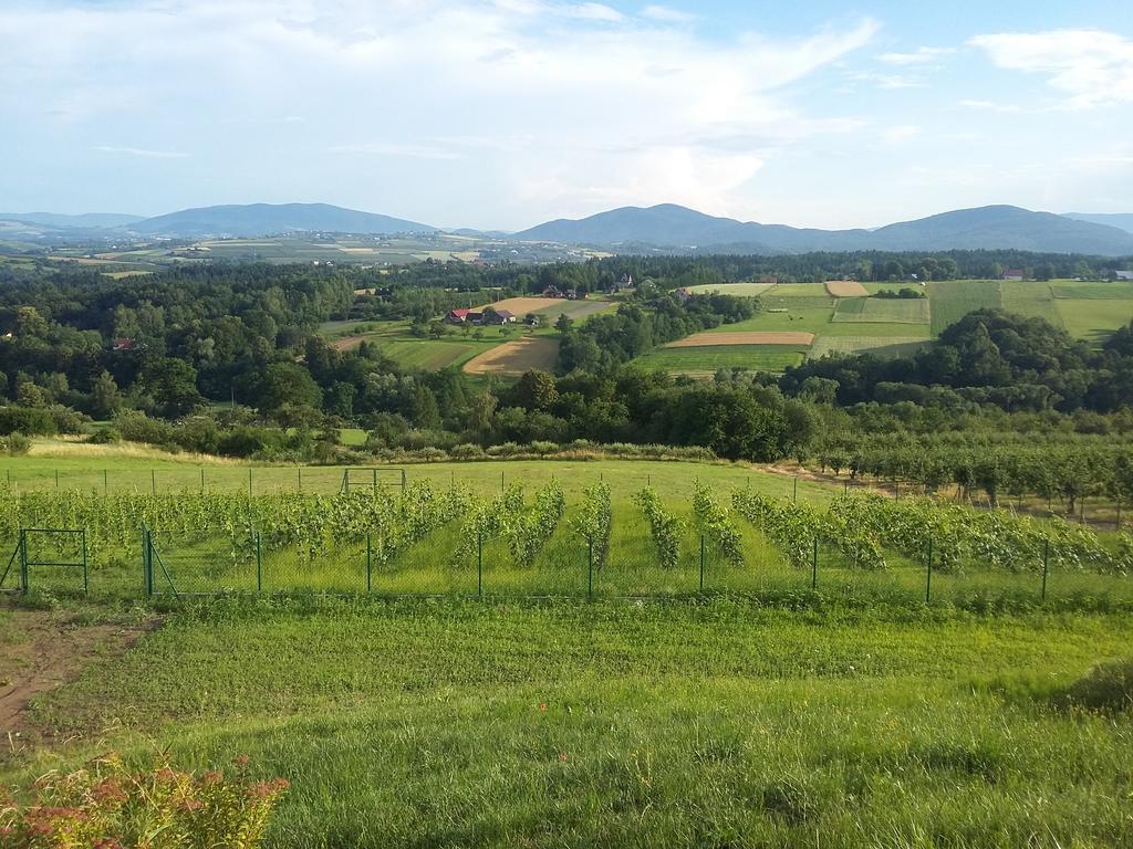 Fantastic View Vineyard Beskid Mountains Gruszow  Eksteriør billede